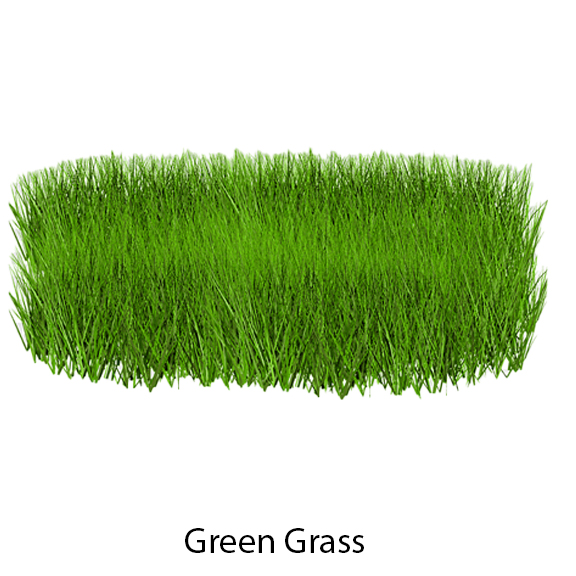 GREEN GRASS